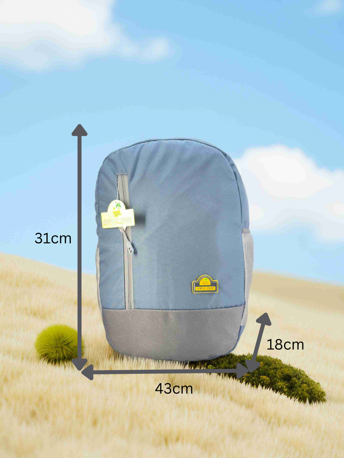 SCHOOL BAG