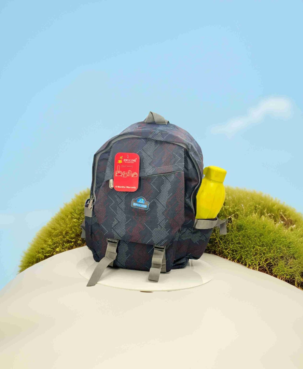 SCHOOL BAG
